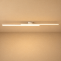 Modern Dual-Bar Linear Flush Mount Ceiling Light – LED Strip Fixture for Hallway, Office & Kitchen