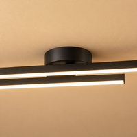 Modern Dual-Bar Linear Flush Mount Ceiling Light – LED Strip Fixture for Hallway, Office & Kitchen