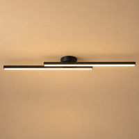 Modern Dual-Bar Linear Flush Mount Ceiling Light – LED Strip Fixture for Hallway, Office & Kitchen