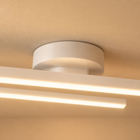 Modern Dual-Bar Linear Flush Mount Ceiling Light – LED Strip Fixture for Hallway, Office & Kitchen