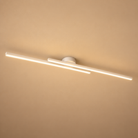 Modern Dual-Bar Linear Flush Mount Ceiling Light – LED Strip Fixture for Hallway, Office & Kitchen