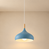 Nordic Dome Pendant Light – Modern Chandelier Ceiling Fixture for Dining Room, Kitchen & Café