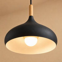 Nordic Dome Pendant Light – Modern Chandelier Ceiling Fixture for Dining Room, Kitchen & Café