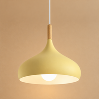 Nordic Dome Pendant Light – Modern Chandelier Ceiling Fixture for Dining Room, Kitchen & Café